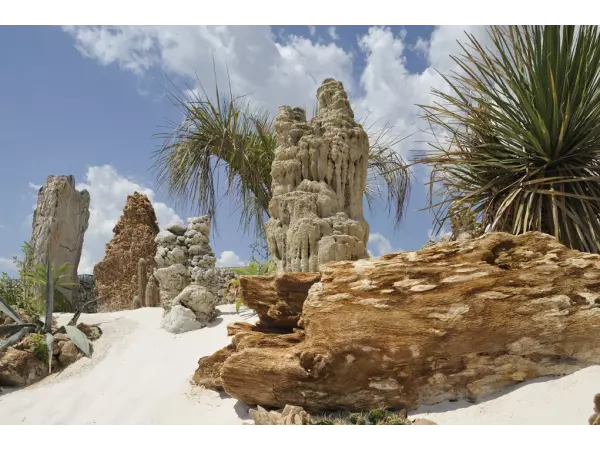 Skamieniałe drewno Legni Fossili Rosa del Deserto jako centralny monolit w luksusowej aranżacji ogrodu pustynnego