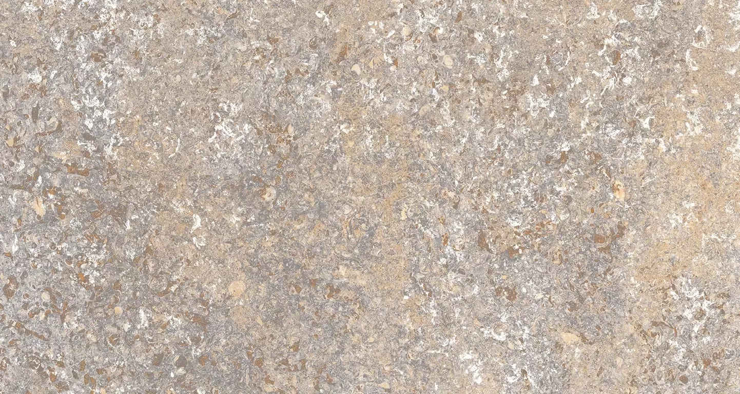 płytki na podjazd MuschelKalk 40x80x3