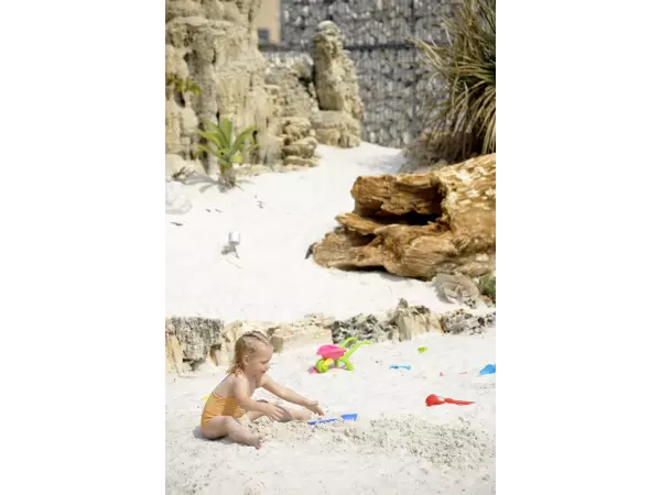 Zbliżenie na monolit Pipeline i skamieniałe pnie drzew w nowoczesnej architekturze krajobrazu Deseret