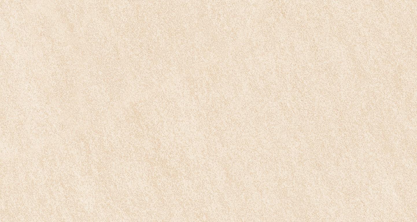 DOLOMITI BEIGE 40x80x2 (1)1442