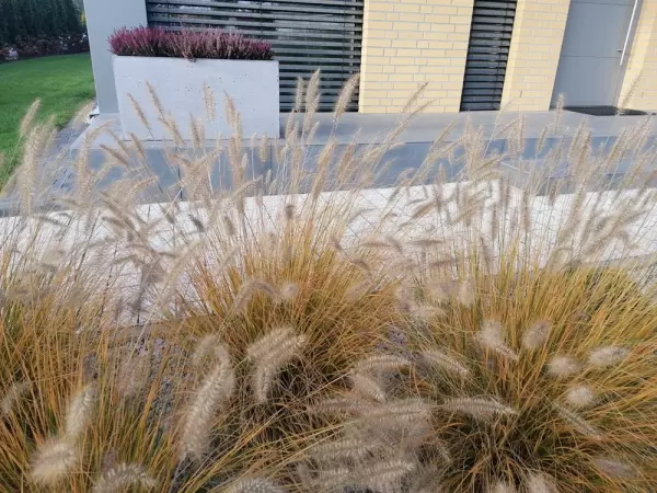 co na schody zewnętrzne Salon Poznan