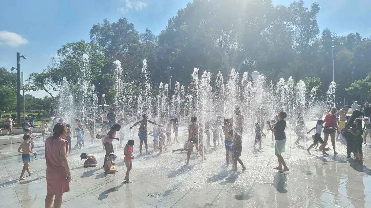 Baner zielonej przestrzeni miejskiej